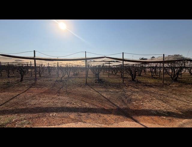 40,471M² SMALLHOLDING FOR SALE IN BENONI AH